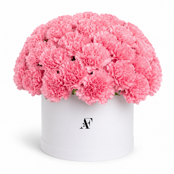 Pink Carnation Box