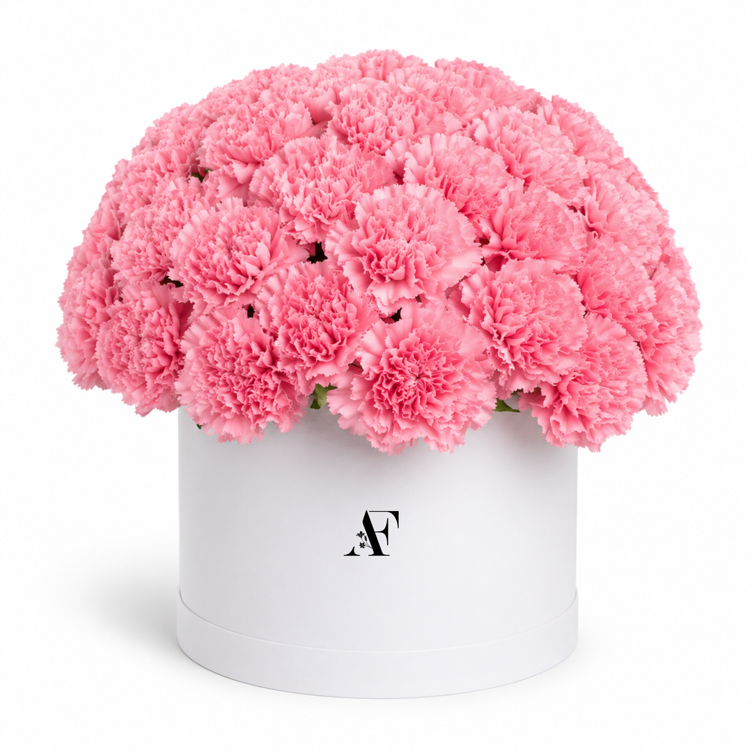 Pink Carnation Box