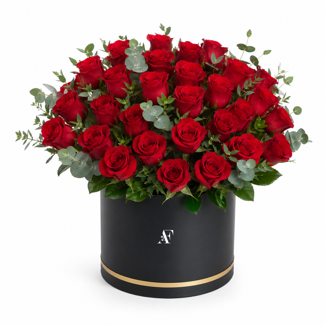 Ruby Dome Box